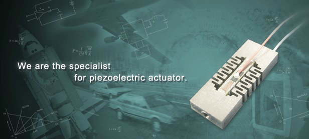 We are the specialist for piezoelectric actuator.