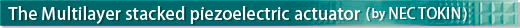 The Multilayer stacked piezoelectric actuator（by NEC TOKIN）