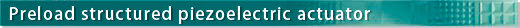 Piezo actuator, Preload structured